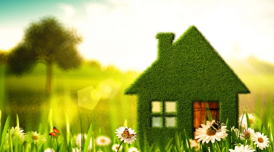 5 Ways to Turn Your Home into a Green Home